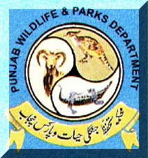 Wildlife Department Tenders