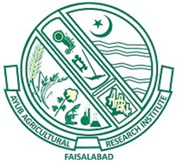 Ayub Agriculture Research Institute Tenders