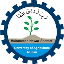 Muhammad Nawaz Shareef University Of Agriculture Tenders
