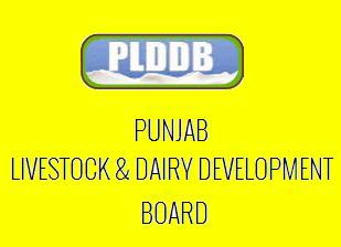 Plddb Tenders