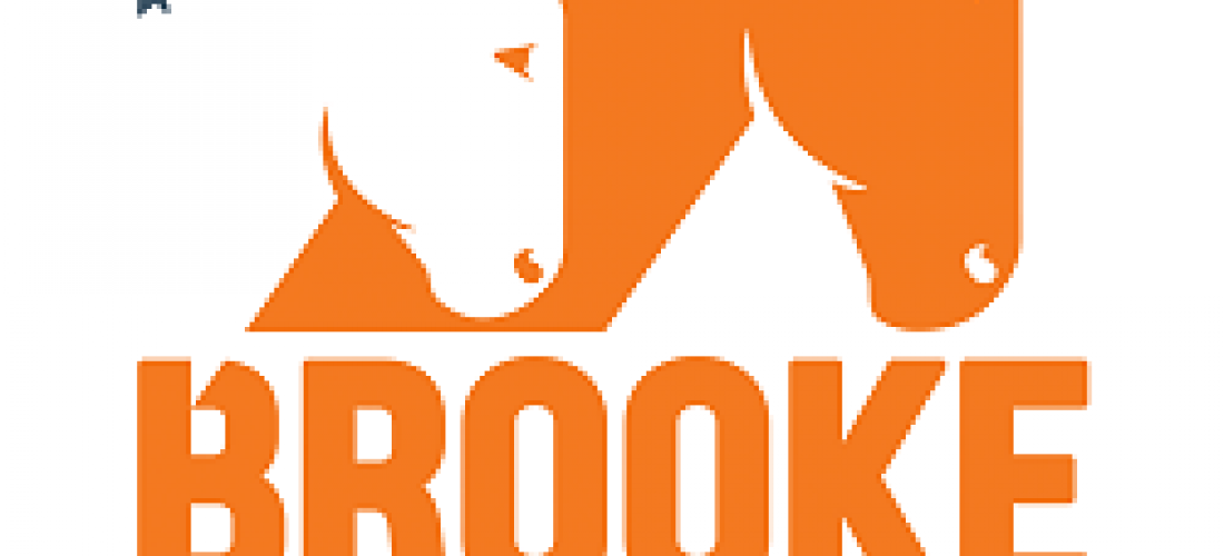 Brooke Hospital For Animals Tenders