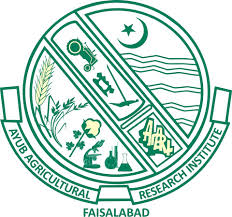 Ayub Agricultural Research Institute Tenders