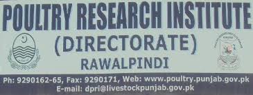Poultry Research Institute Tenders