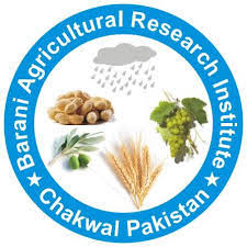 Barani Agriculture Research Institute Tenders