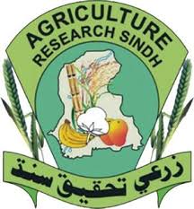 Agriculture Research Sindh Tenders