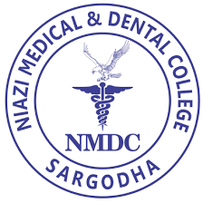 Nmdc Tenders
