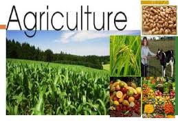 Agriculture Extension Tenders