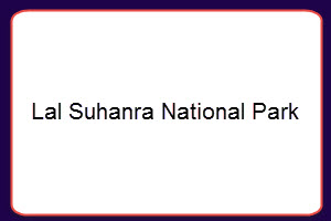 Lal Suhanra National Park Tenders