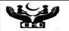 Balochistan Institute Of Child Health Services Tenders