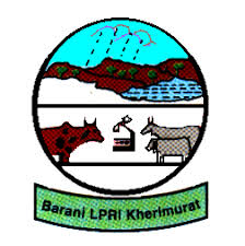 Directorate Of Barani Livestock Production Research Institute Tenders
