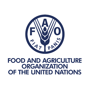 Food And Agriculture Organization Of The United Nations Tenders