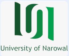 University Of Narowal Tenders