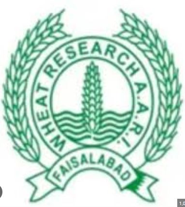 Wheat Research Centre Tenders