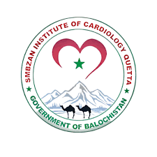 Sheikh Zayed Muhammad Bin Zayed Al Nahyan Institute Of Cardiology Tenders