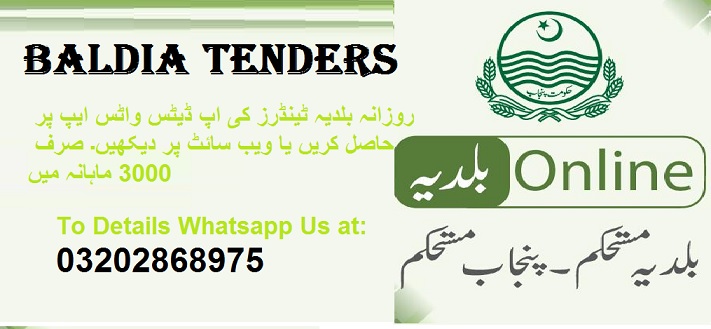 Baldia Tenders & Auctions in Paksitan