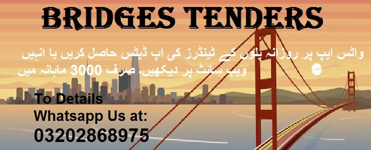 Bridges Tenders & Auctions in Paksitan