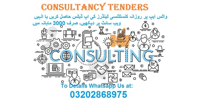 Consultancy Tenders & Auctions in Paksitan
