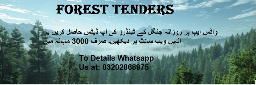 Forest Tenders & Auctions in Paksitan