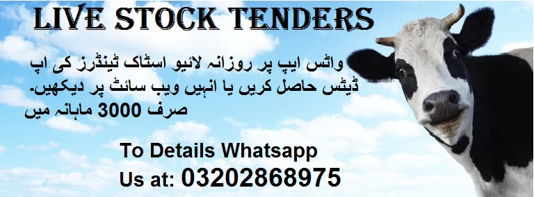Live Stock Tenders & Auctions in Paksitan