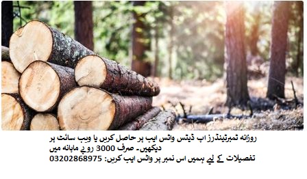 Timber Tenders & Auctions in Paksitan