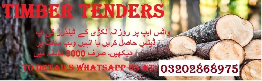 Timber Tenders & Auctions in Paksitan