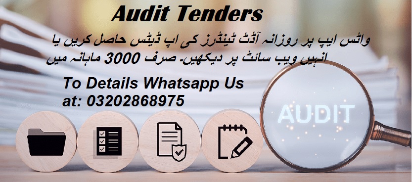 Audit Tenders & Auctions in Paksitan
