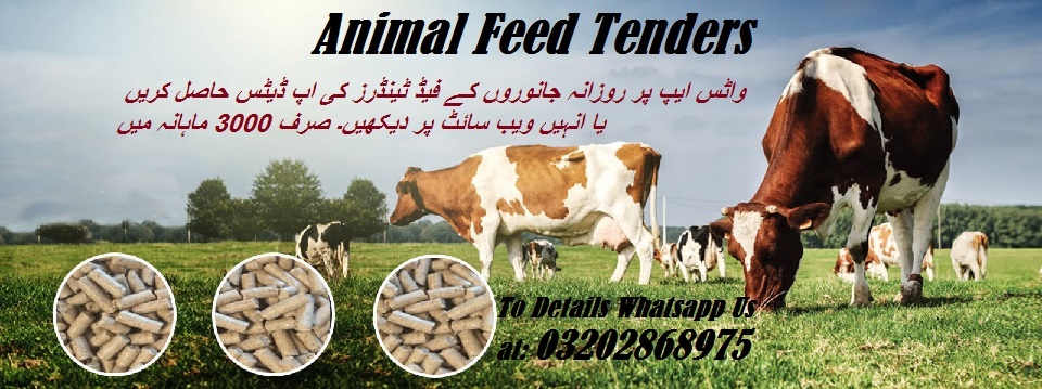 Feed Tenders & Auctions in Paksitan
