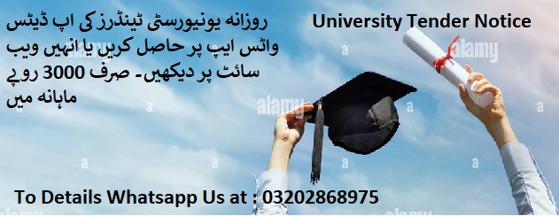 University Tenders & Auctions in Paksitan