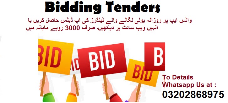 Bidding Tenders & Auctions in Paksitan