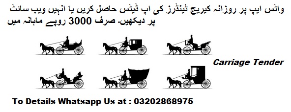 Carriage Tenders & Auctions in Paksitan