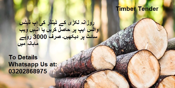 Timber Tenders & Auctions in Paksitan