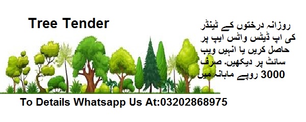 Trees Tenders & Auctions in Paksitan