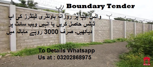 Boundary Tenders & Auctions in Paksitan
