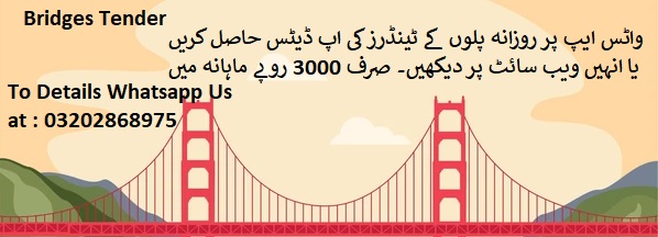 Bridge Tenders & Auctions in Paksitan