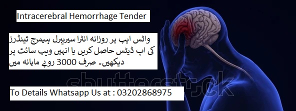 ICB Tenders & Auctions in Paksitan