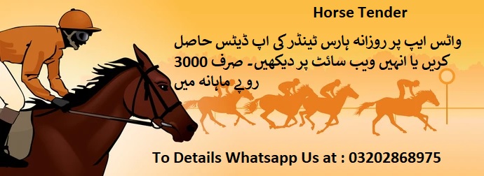 Horse Tenders & Auctions in Paksitan