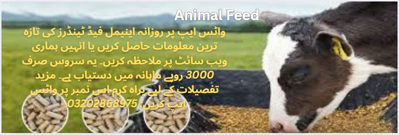 Animal Feed Tenders & Auctions in Paksitan