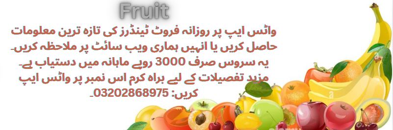 Fruit Tenders & Auctions in Paksitan