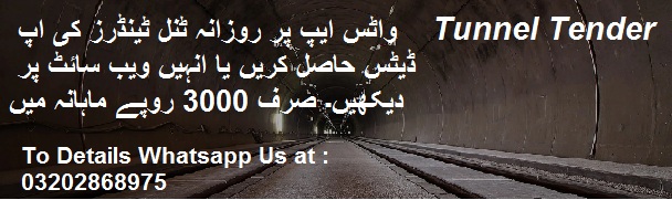 Tunnel Tenders & Auctions in Paksitan