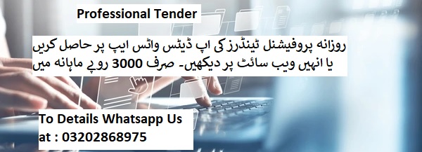 Professional Tenders & Auctions in Paksitan