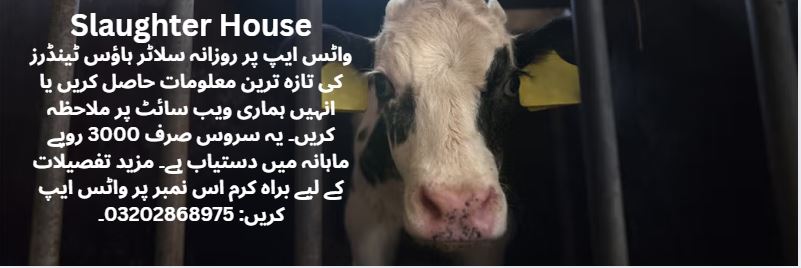Slaughter House Tenders & Auctions in Paksitan