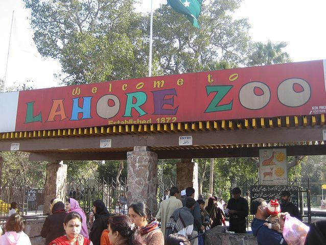 Lahore Zoo  Tenders