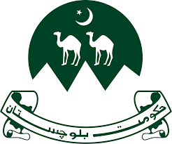 Local Government Department Tenders