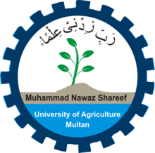 Muhammad Nawaz Sharif University Of Agriculture Tenders