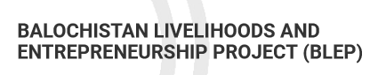 Balochistan Livelihood And Entrepreneurship Project Tenders